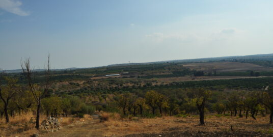 terreno panoramico